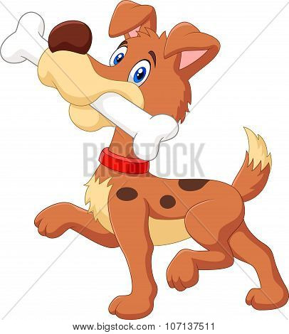 Cartoon funny dog with bone isolated on white background