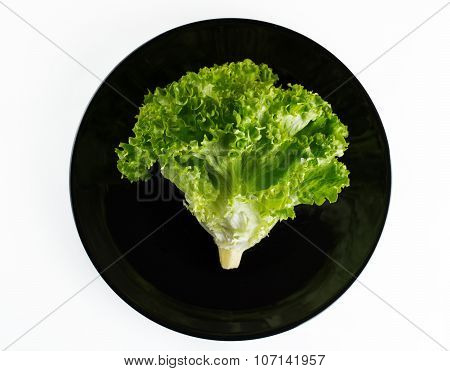 Healthy Meal, Fresh Salad In Plate Isolated On White Background