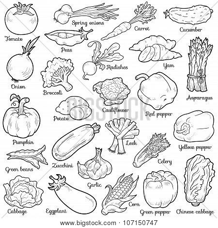 Colorless Set With Vegetables, Vector Cartoon Stickers
