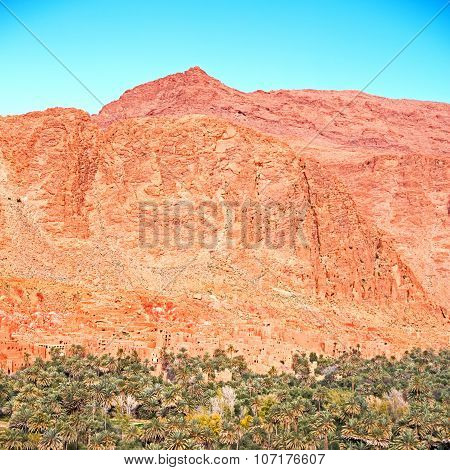 In Todra Gorge Morocco Africa And  Village