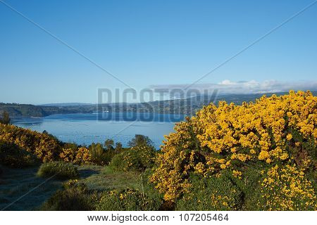 Island of Chiloe
