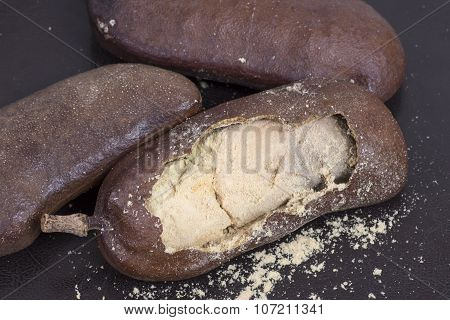 Edible Jatoba Fruit