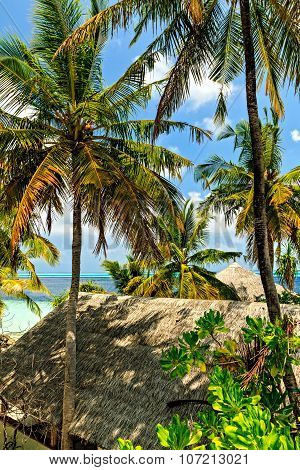 View In Trpical Hotel Ranveli, Maldives