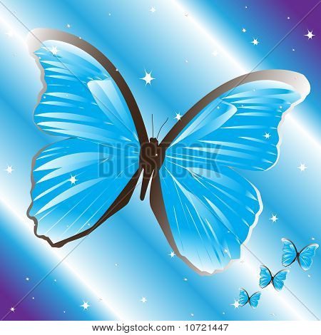 Motyl niebieski