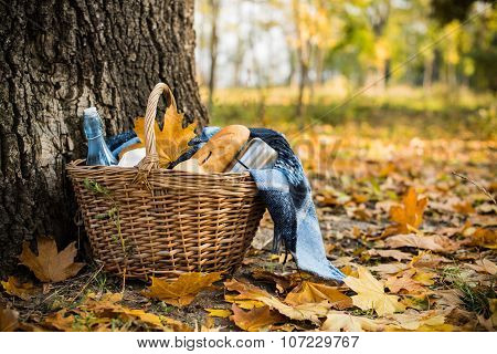 Autumn picnic in park