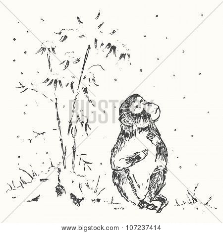 Chinese  monkey snow new year drawn sketch