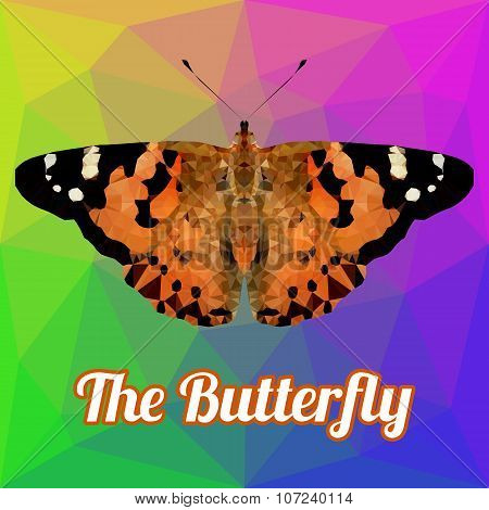 Colorfull Butterfly Polygon Vector