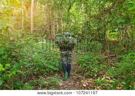 Soldier Or Chasseur Walking Through A Forest With Lush Grass
