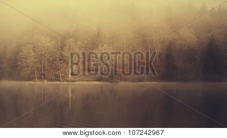Morning Winter fog on Bled  Lake Slovenia