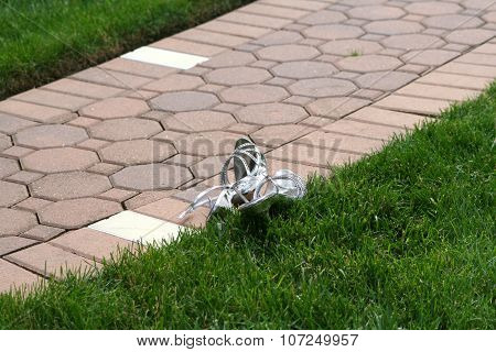 Pair Of Formal Shoes Outdoors