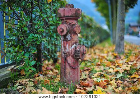 Red Hydrant In The Street Full Of Colored Leaves