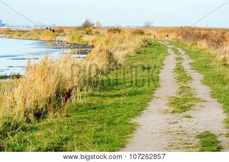 Coastal Road