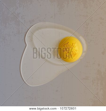 Realistic vector chicken raw Egg