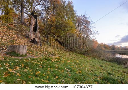 Beautiful Scene In Autumn Park