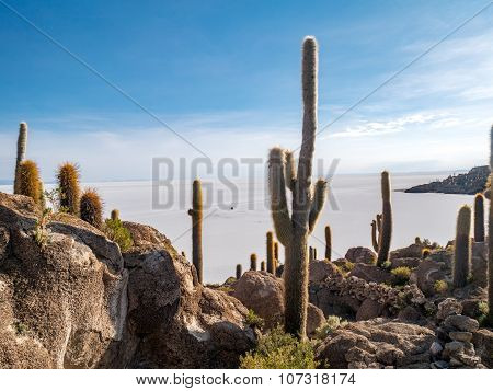 Isla del Pescado