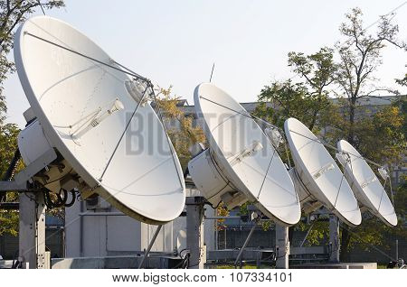 Four Parabola Antenna