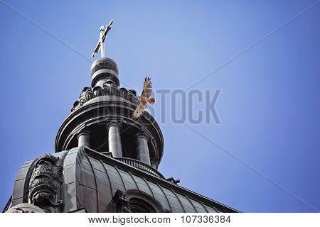 Hawk in flight over cathedral
