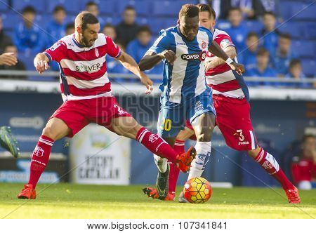 BARCELONA - NOV, 1: David Lomban(L) of Granada CF and Felipe Caicedo(R) of RCD Espanyol fight during a Spanish League match at the Power8 stadium on November 1 2015 in Barcelona Spain
