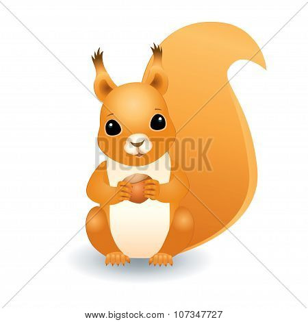 Squirrel With Hazelnut