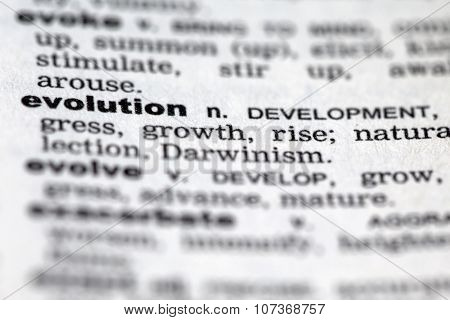 Dictionary Details
