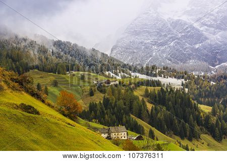 Green Meadow In The Background Colored Trees In Autumn