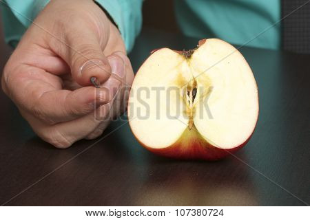 apple seed