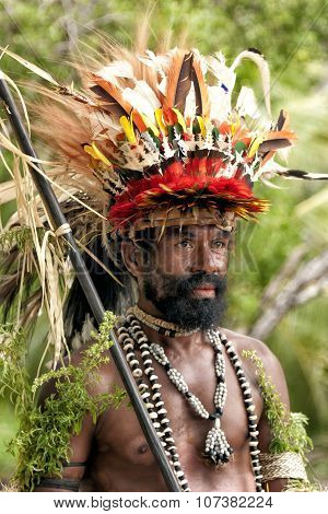 New Guinea Papuan Korafe tribe warrior dressed in vibrant bird of paradise feathers