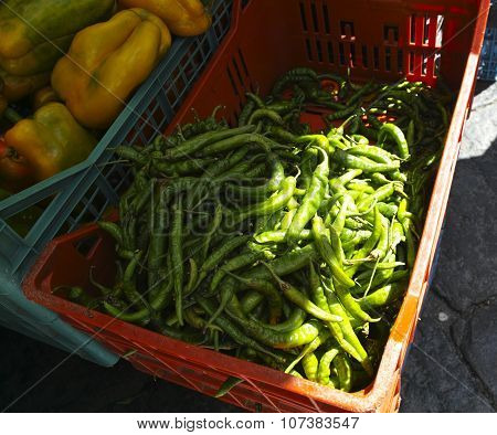 Green Pepper