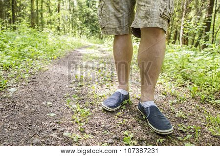 A Man Standing On The Footpath After A Long Walk In The Woods