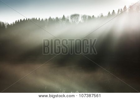 Beautiful sun rays