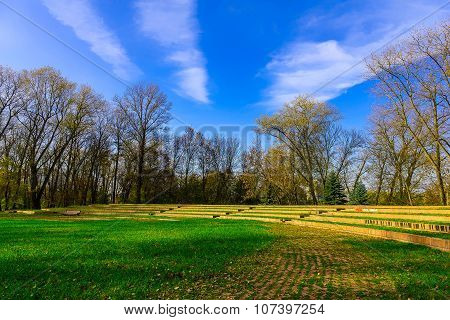 Autumn Park With Decorative Stairs And Meadow