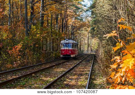 When city tram goes through the forest