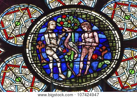 Adam Eve Stained Glass Notre Dame Cathedral Paris France