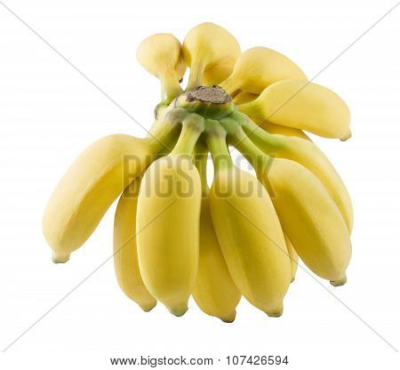 Ripe And Sweet Banana Fruits On A White Background