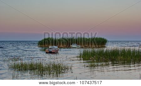 summer evening on Peipsi lake, Estonia