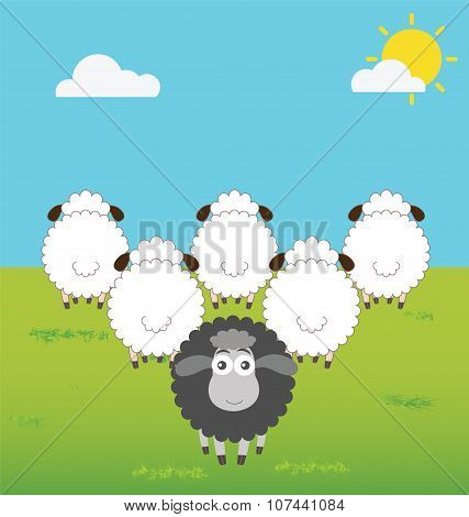 Black Sheep With Difference Thinking