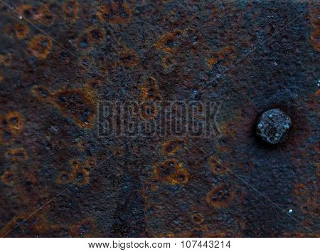 rusty metal sheet  and nail
