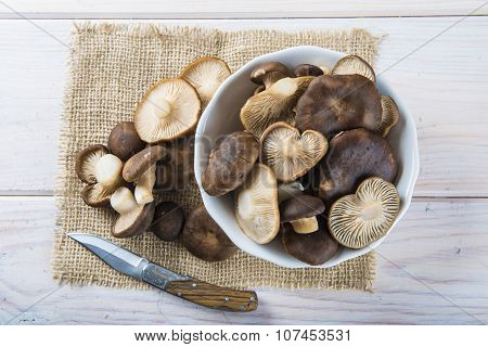 King Tumpet Mushrooms On The Table Of The Kitchen