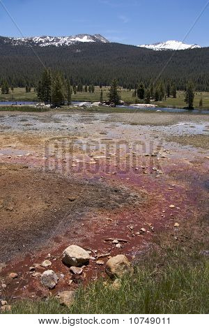 Pinien & Schnee gekleidete Berge, Soda Springs, yosemite