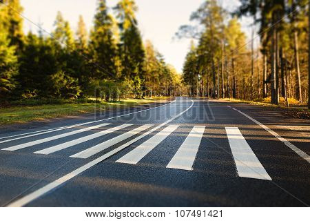 crosswalk
