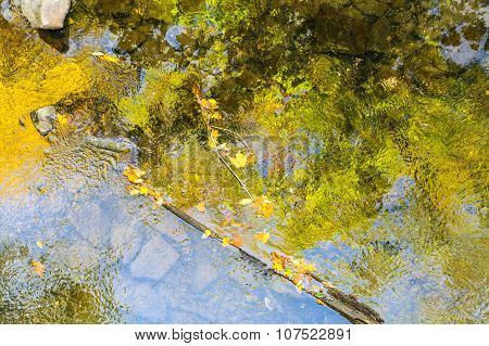 Fall Reflection