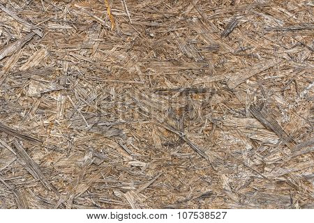 Plywood Panel
