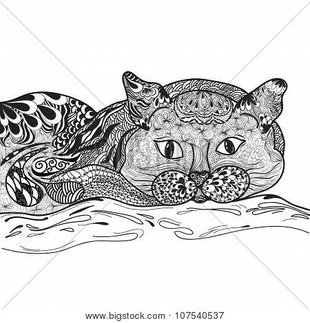 Cat vector