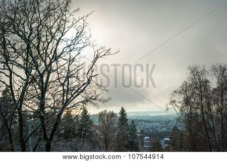 View To Holmenkollen, Oslo Over Trees In Winter