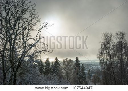 View To Holmenkollen, Oslo Over Trees In Winter