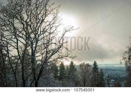 View To Holmenkollen, Oslo Over Trees In Winter