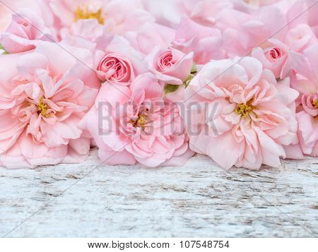 Pink Roses Bouquet On The Rustic White Painted Background