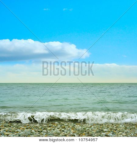 바다 해변