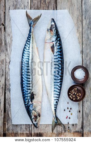 Two Raw Fresh Mackerel Fishes On A Paper With Salt And Pepper