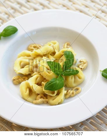 Delicious Meat Cappelletti